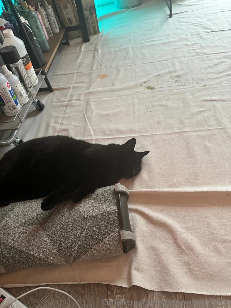 Giving that black cat energy check out my spicy content on ashtonfaye 