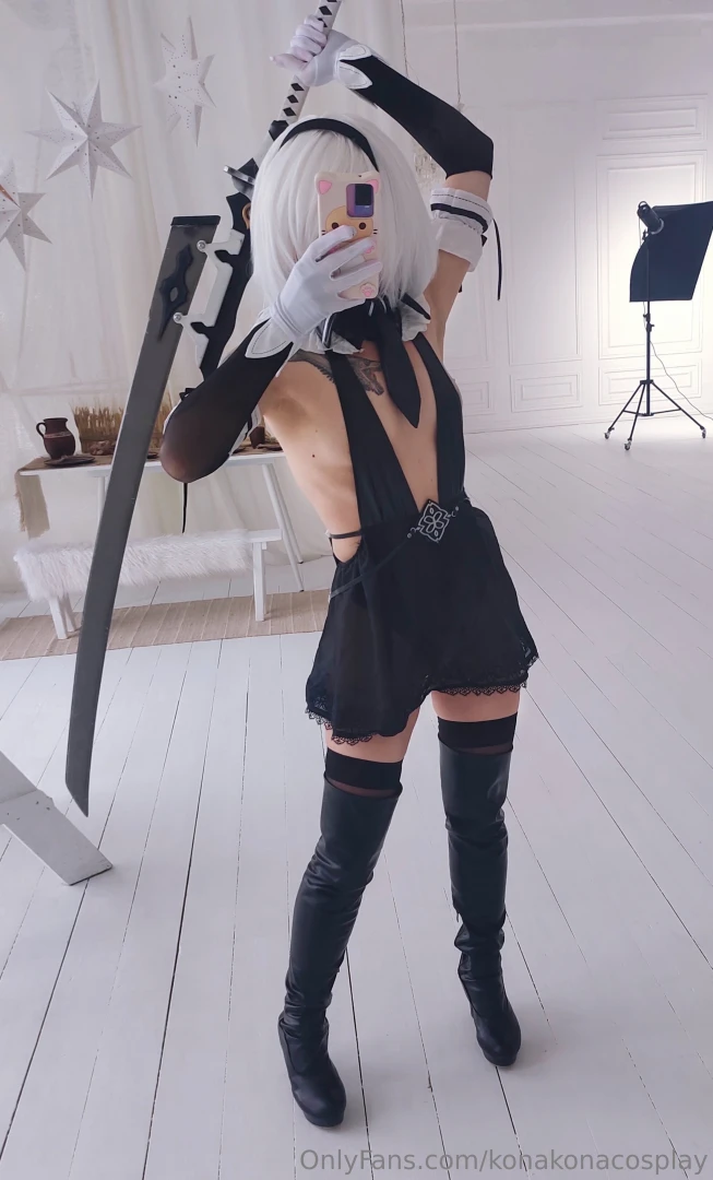 Ada wong and 2b backstages 