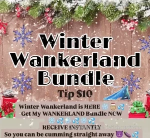 Winter wankerland bundle tip 10 so you can instantly receive your