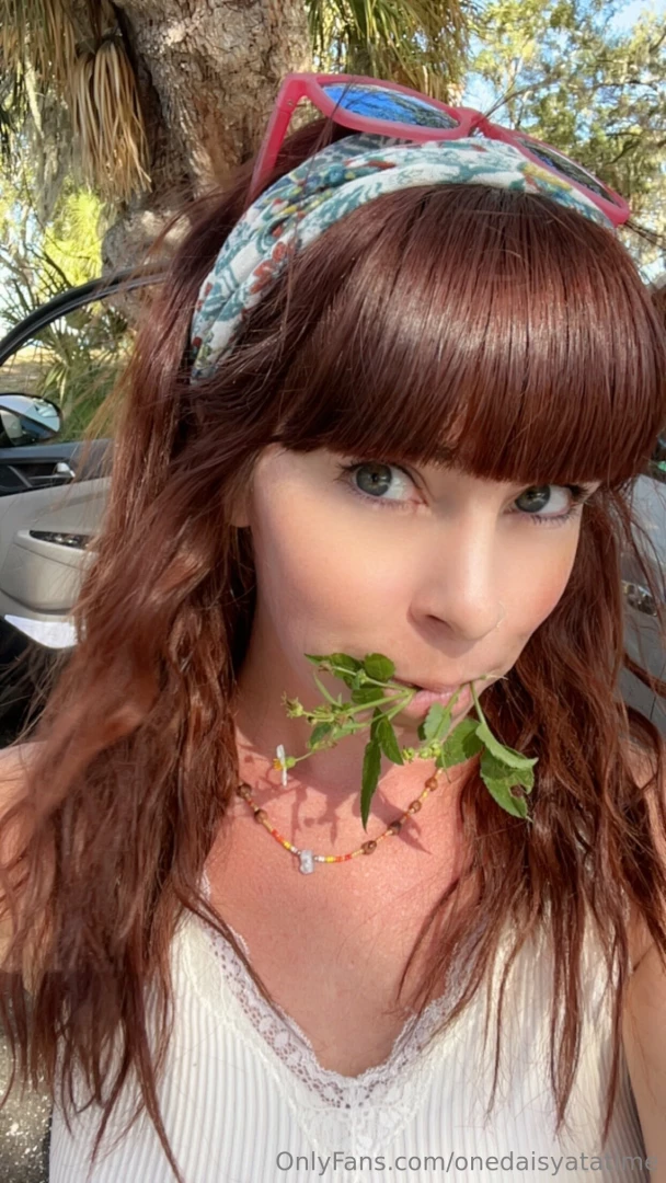 I m in florida this morning and found a patch of bidens alba we could 