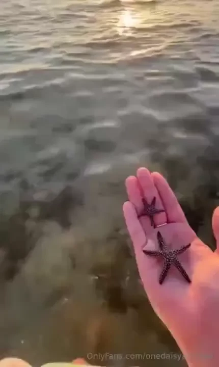 Creature feature if you are an ocean lover like me you are probably part 1 