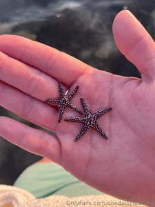 Creature feature if you are an ocean lover like me you are probably