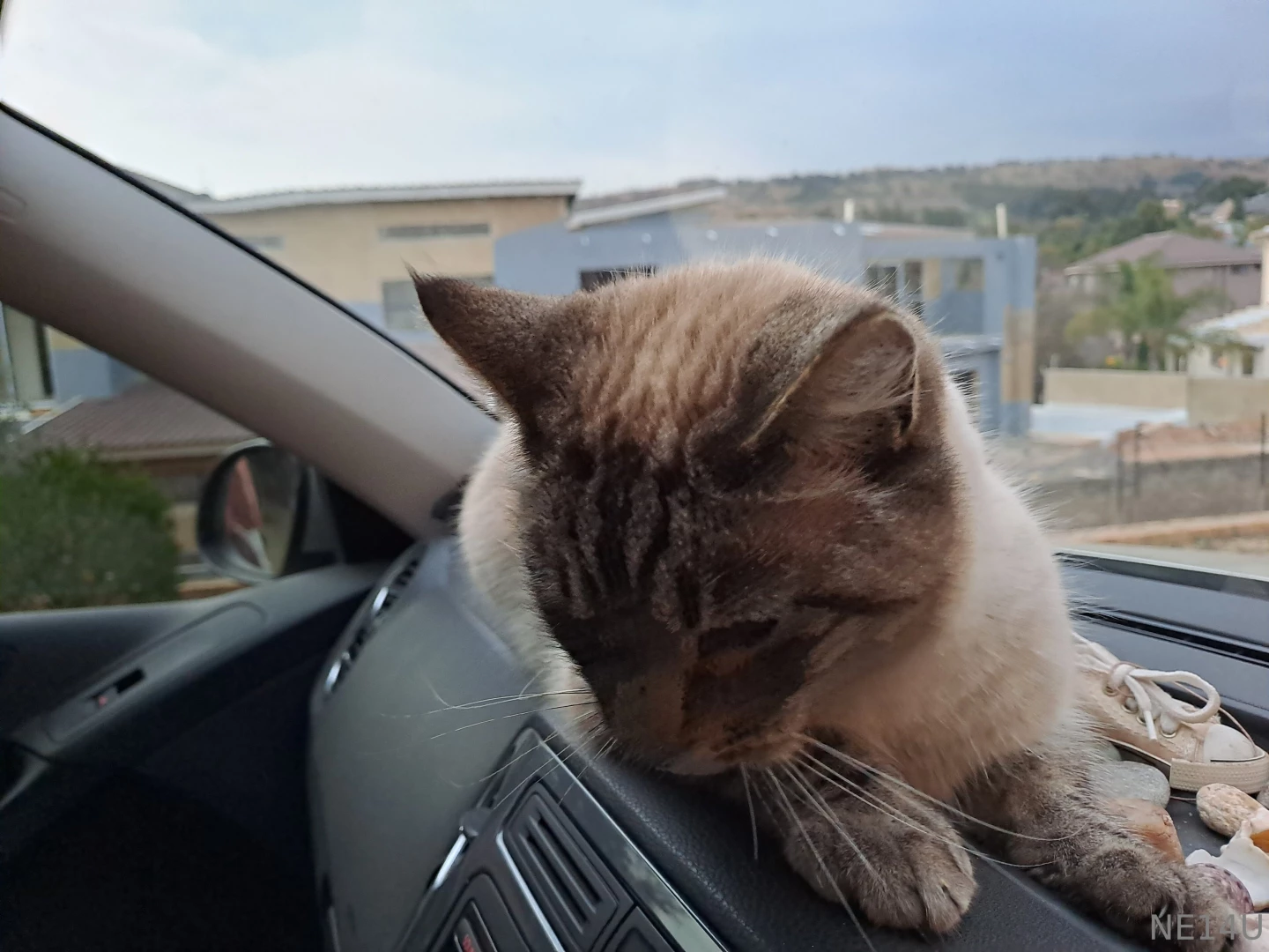 My sweet little pussy is ready for adventure and so am i wanna join us part 1 