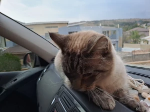 My sweet little pussy is ready for adventure and so am i wanna join us part 1