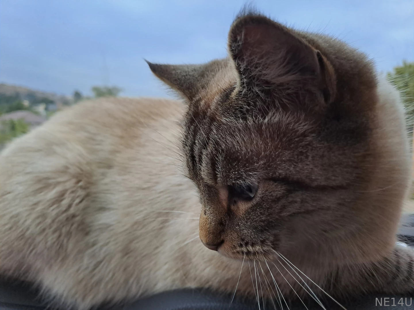 My sweet little pussy is ready for adventure and so am i wanna join us part 2 