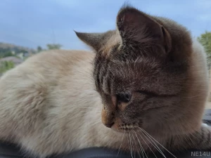 My sweet little pussy is ready for adventure and so am i wanna join us part 2