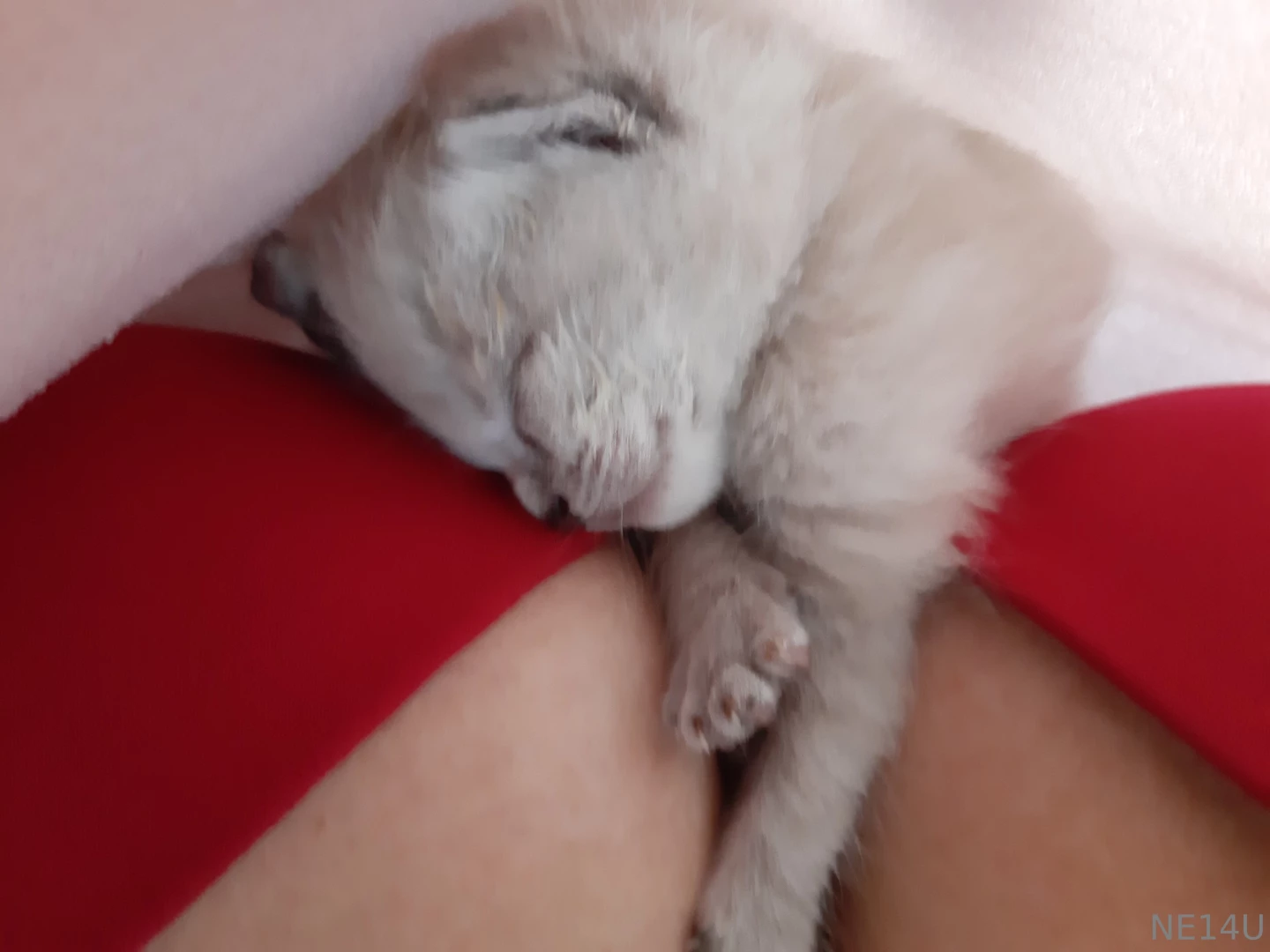 It s getting cold here in the southern hemisphere but i know just the part 1 