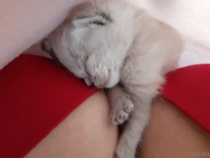 It s getting cold here in the southern hemisphere but i know just the part 1