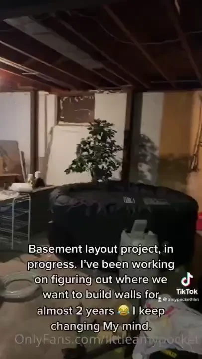 Basement project figuring out layout so we can build walls 