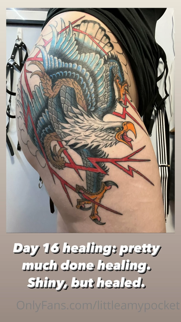 Day 16 healing process pretty much healed just the shiny stage 