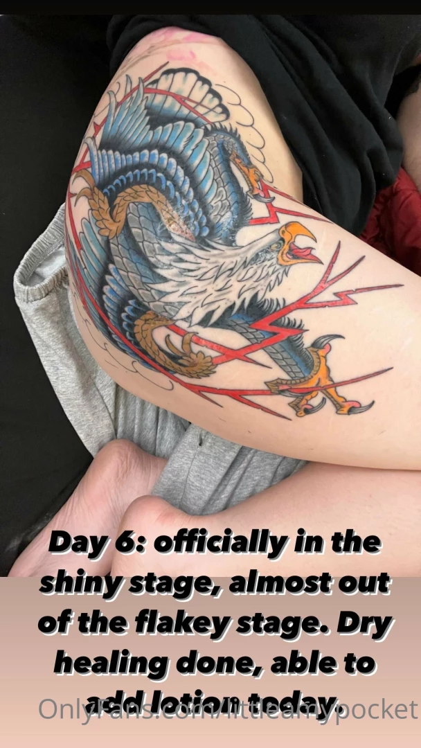 Officially in the shiny stage dry healing is done i was finally able part 1 