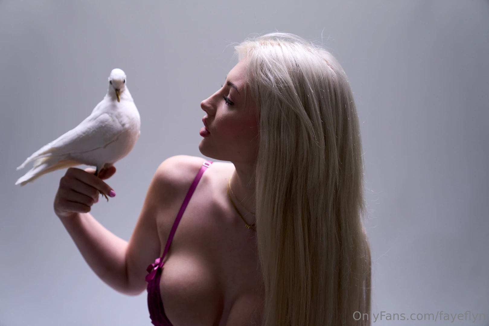 A bird told me that you are online 