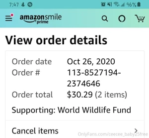 I ordered my halloween costumes