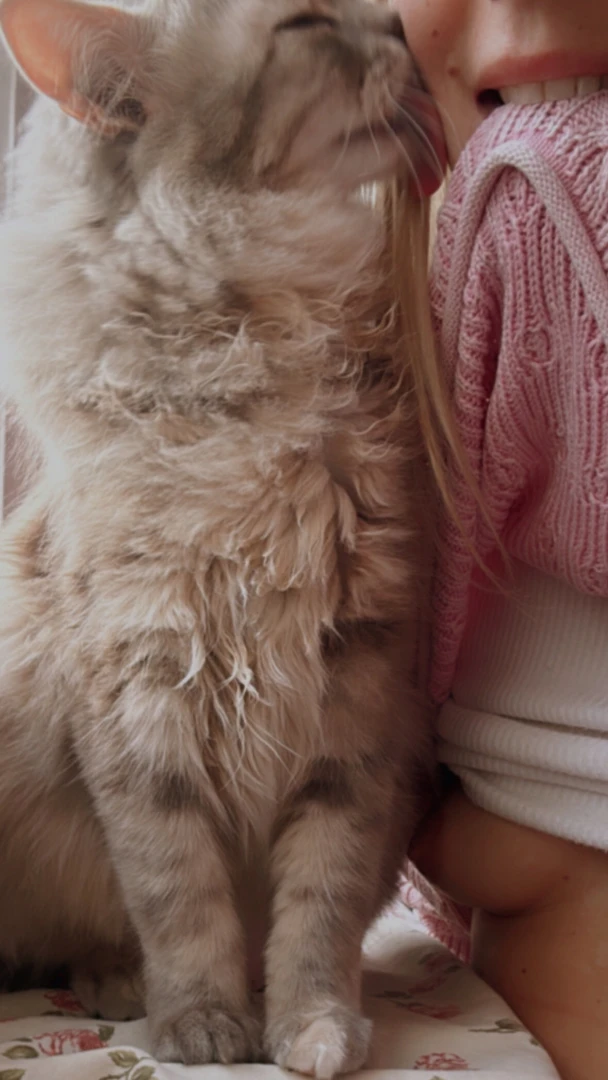 Quel meilleur moment que le premier bon ok deuxi me mais vous me 