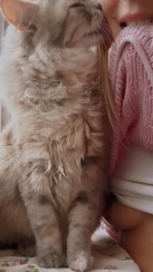 Quel meilleur moment que le premier bon ok deuxi me mais vous me