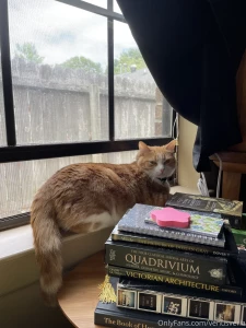 Khajiit has wares if you have coin