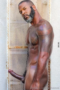 Do you think you could take every inch part 1