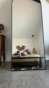 Wanna play part 1129