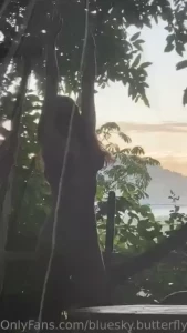 Morning views part 4