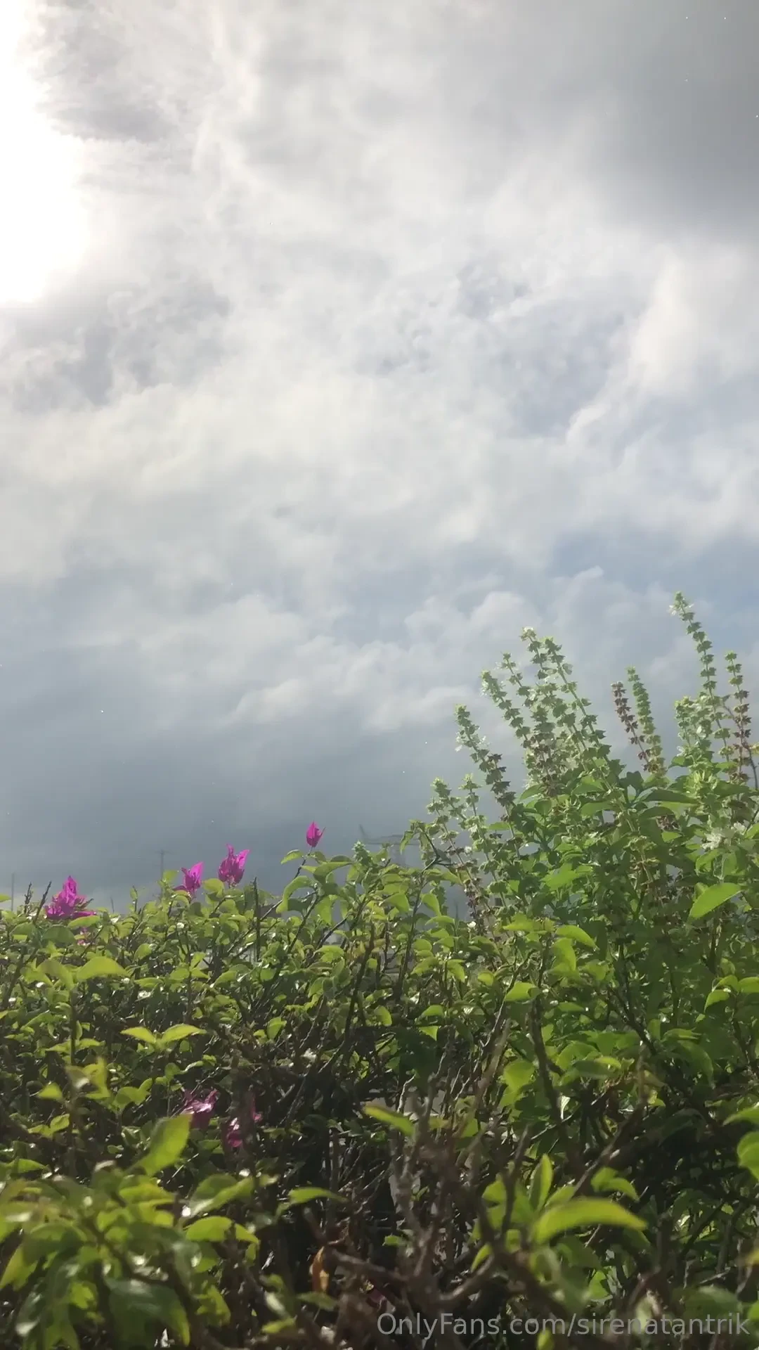 Waiting for the rainbow 