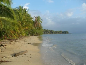 Magic island