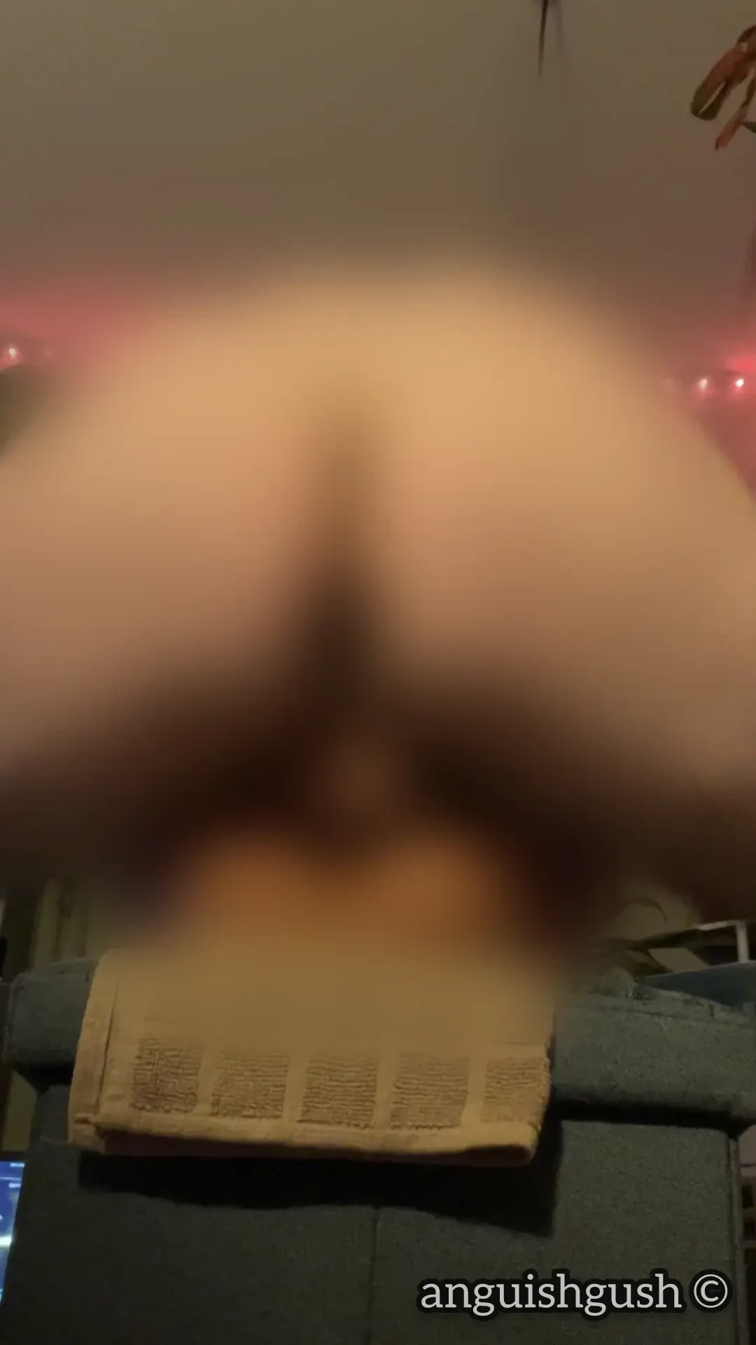 Renewal nudes cum again i desperately needed to f ck so bad i got my 