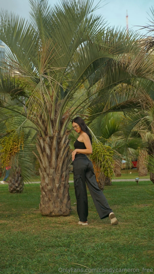 Lost in the rhythmic dance of palm fronds amidst the whispers of the 