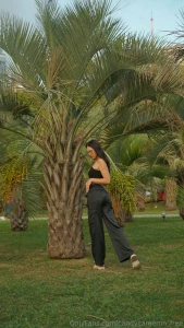 Lost in the rhythmic dance of palm fronds amidst the whispers of the