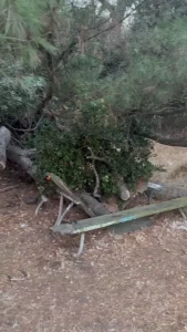 Griffith park bench 29 but was it worth it you ll have to wait n see