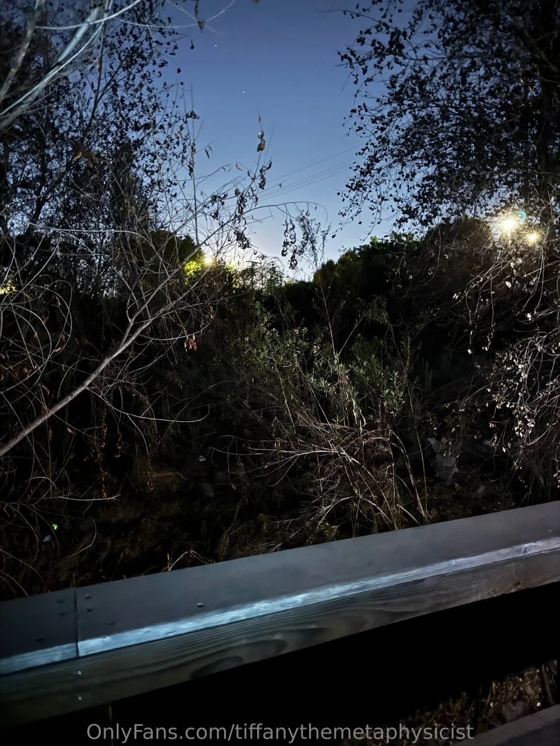 Deforest park in long beach california is known for its eerie 