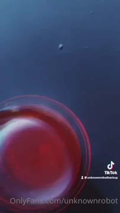 You should check out my tiktok before it gets banned again lol 