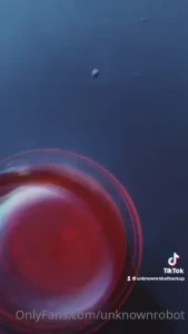 You should check out my tiktok before it gets banned again lol