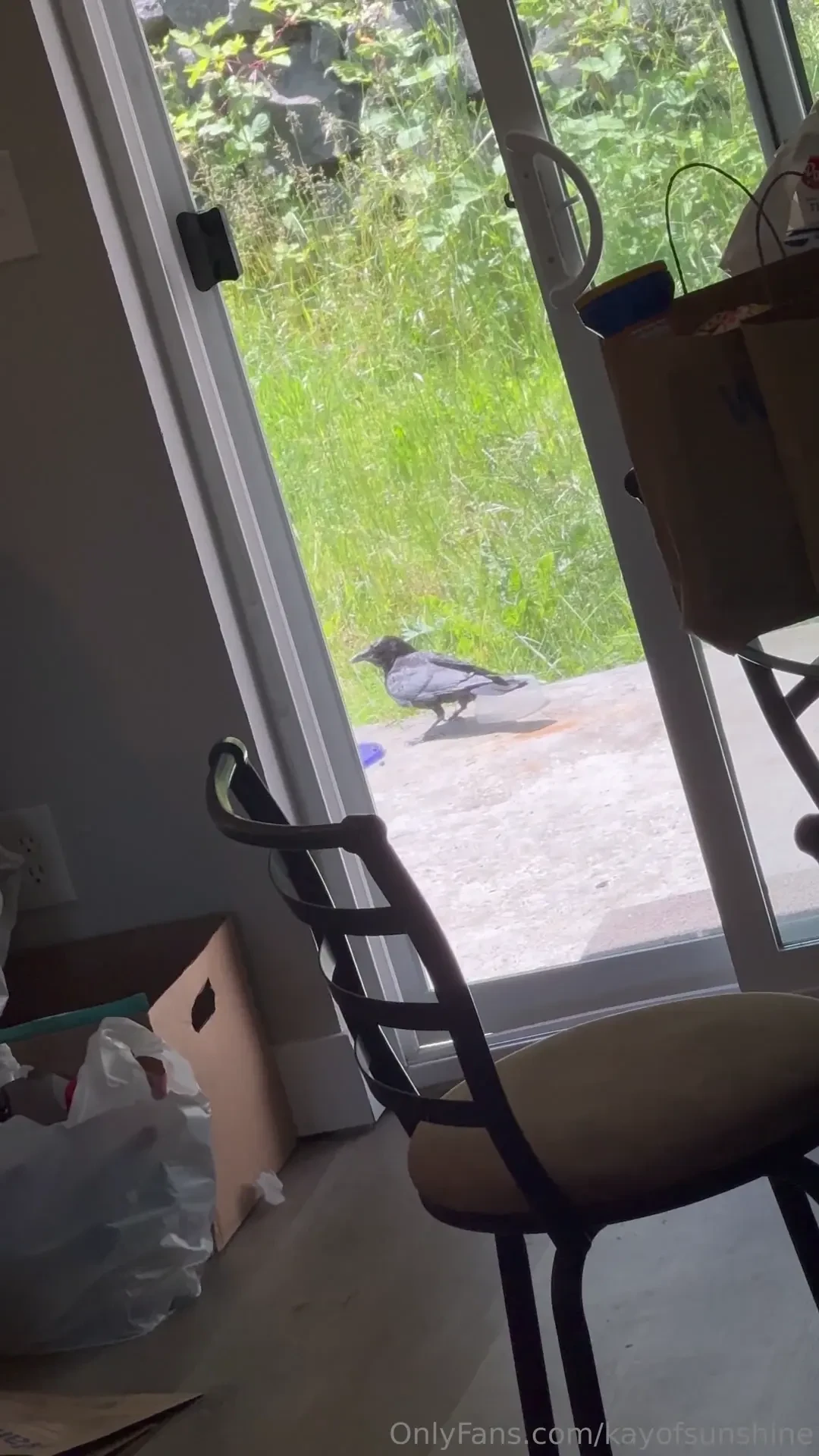 How i spent my day surprise at the end how was your day 