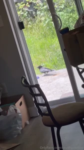 How i spent my day surprise at the end how was your day