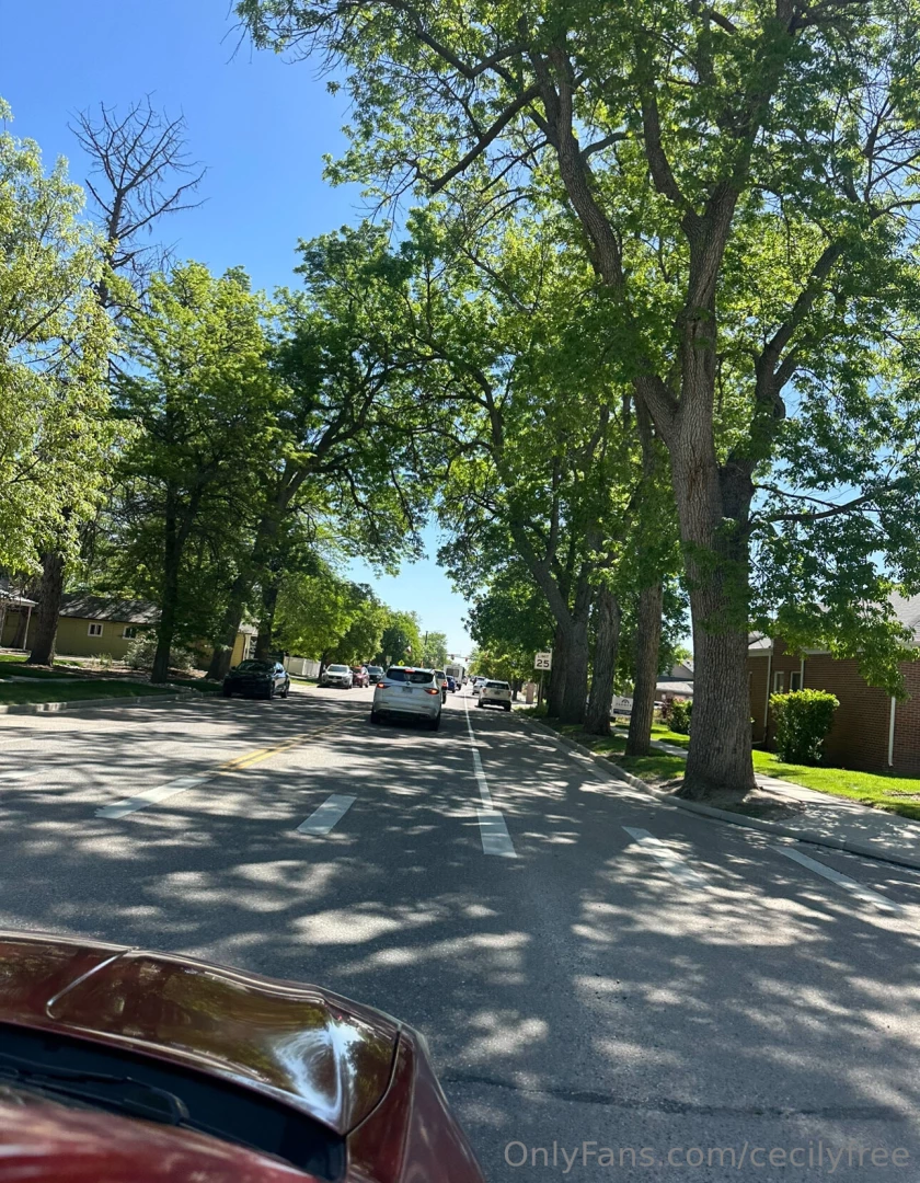 Every street should be this green 
