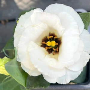 A gardener has her needs too