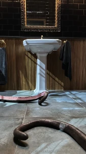 Story that wildly ignites the imagination part 1