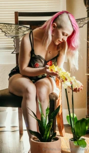 Hey hey lovelies a sweet guest brought me the most gorgeous orchid