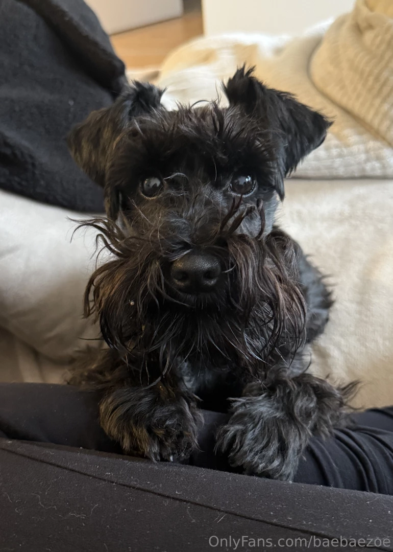 The beard is always dirty and chaotic somehow 