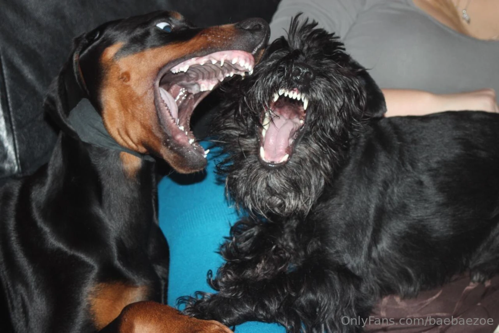 Prime swatchi was truly the most beautiful babyman of course i know part 1 