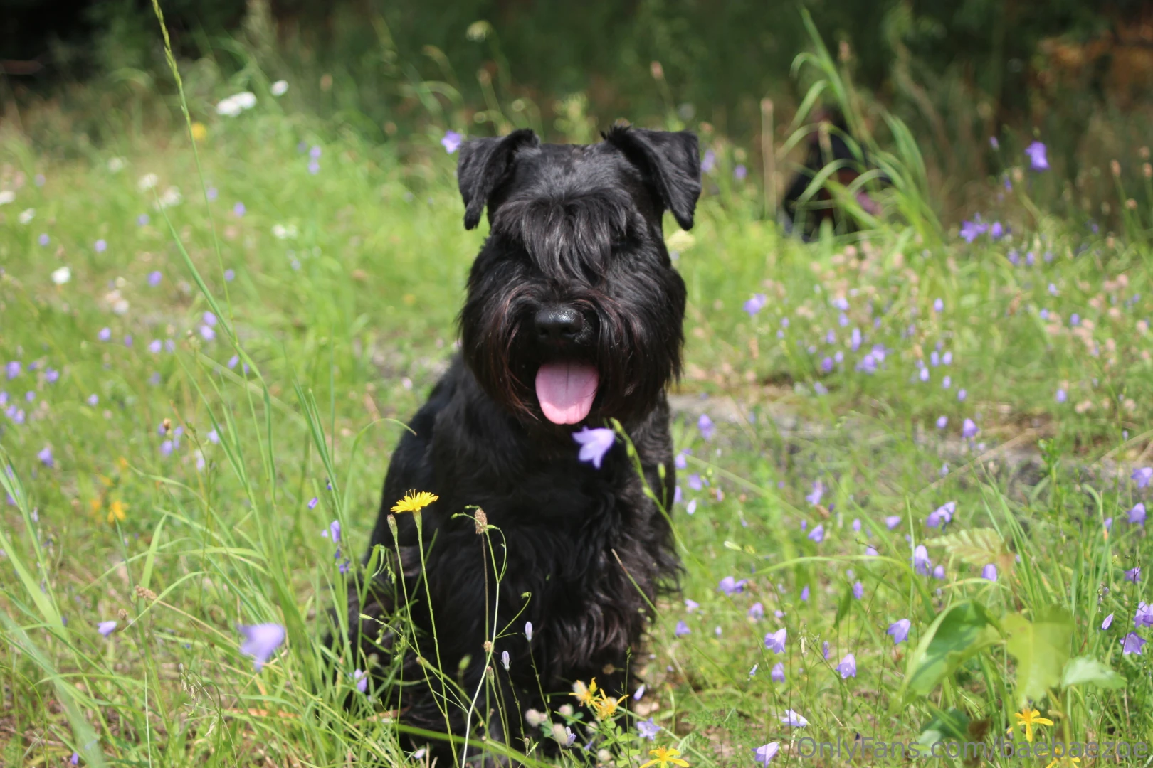 Prime swatchi was truly the most beautiful babyman of course i know 