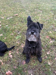 I need a few more quiet days