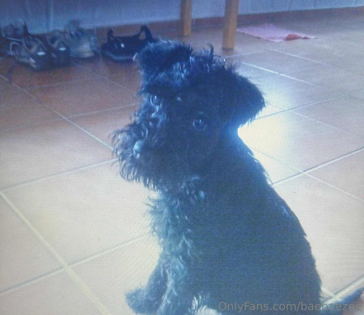 I need a few more quiet days part 1 