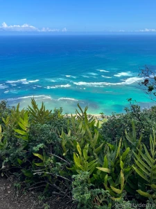 Quite the adventure ended with some neighborly homemade sorbet lt 3 part 8