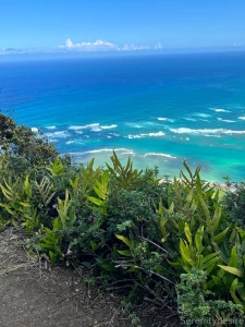 Quite the adventure ended with some neighborly homemade sorbet lt 3 part 6