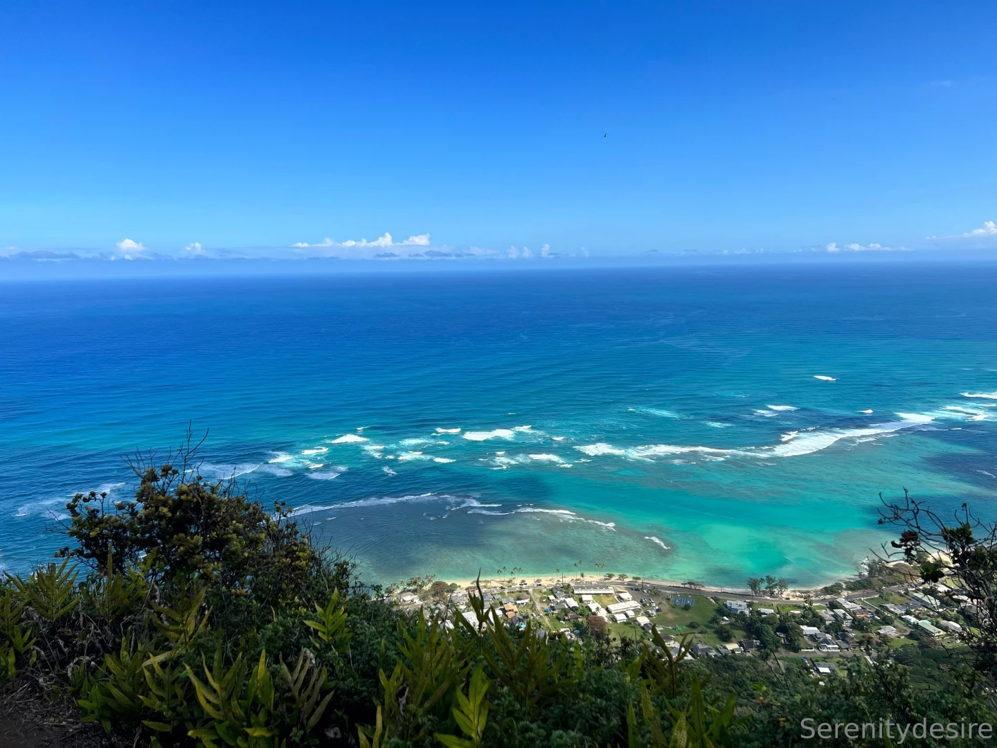 Quite the adventure ended with some neighborly homemade sorbet lt 3 part 10 