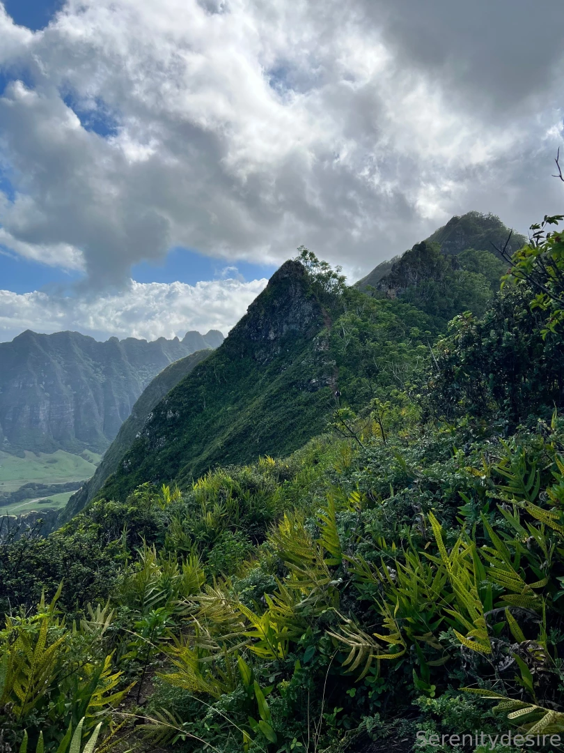 Quite the adventure ended with some neighborly homemade sorbet lt 3 part 2 