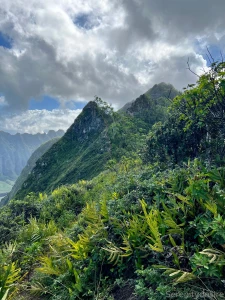 Quite the adventure ended with some neighborly homemade sorbet lt 3 part 11