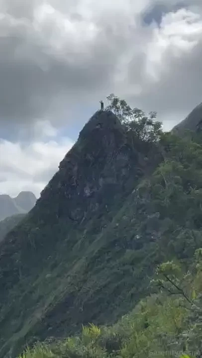 Quite the adventure ended with some neighborly homemade sorbet lt 3 part 12 