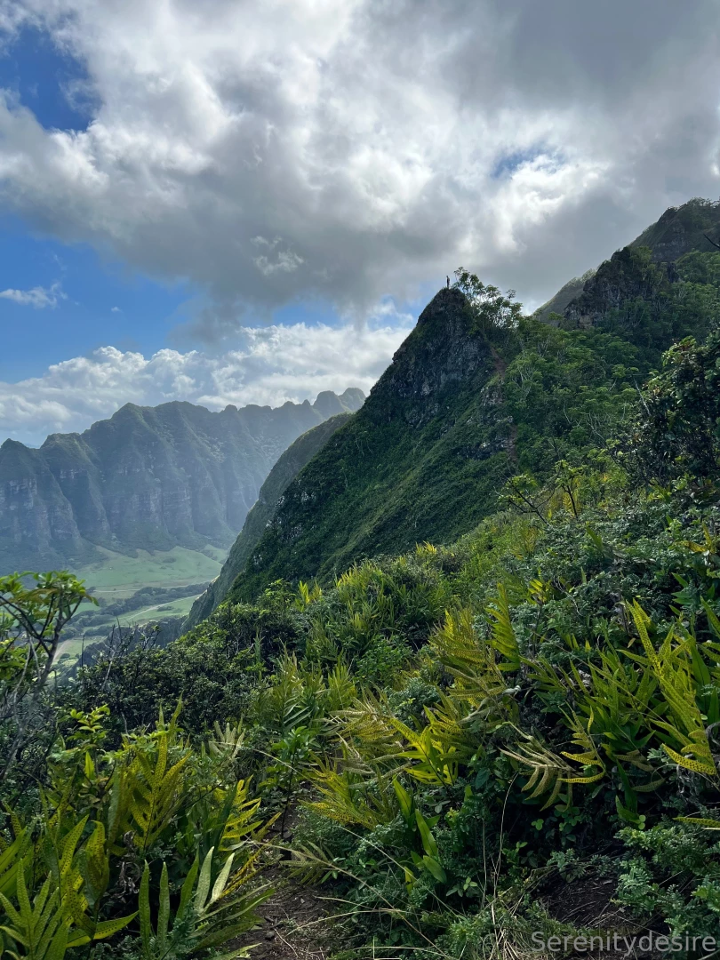 Quite the adventure ended with some neighborly homemade sorbet lt 3 part 4 